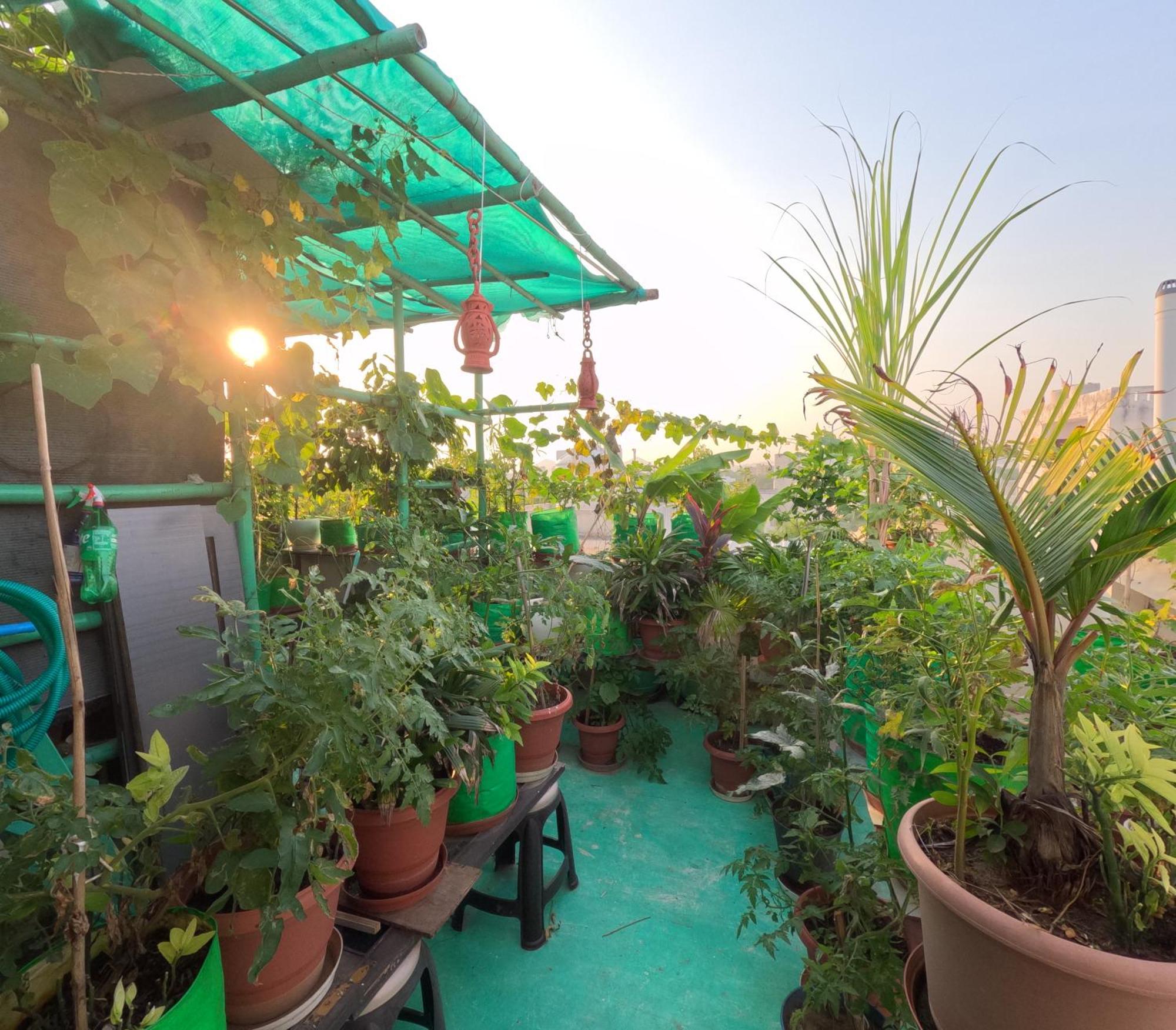 Choudhary White House Udaipur Apartment Exterior photo
