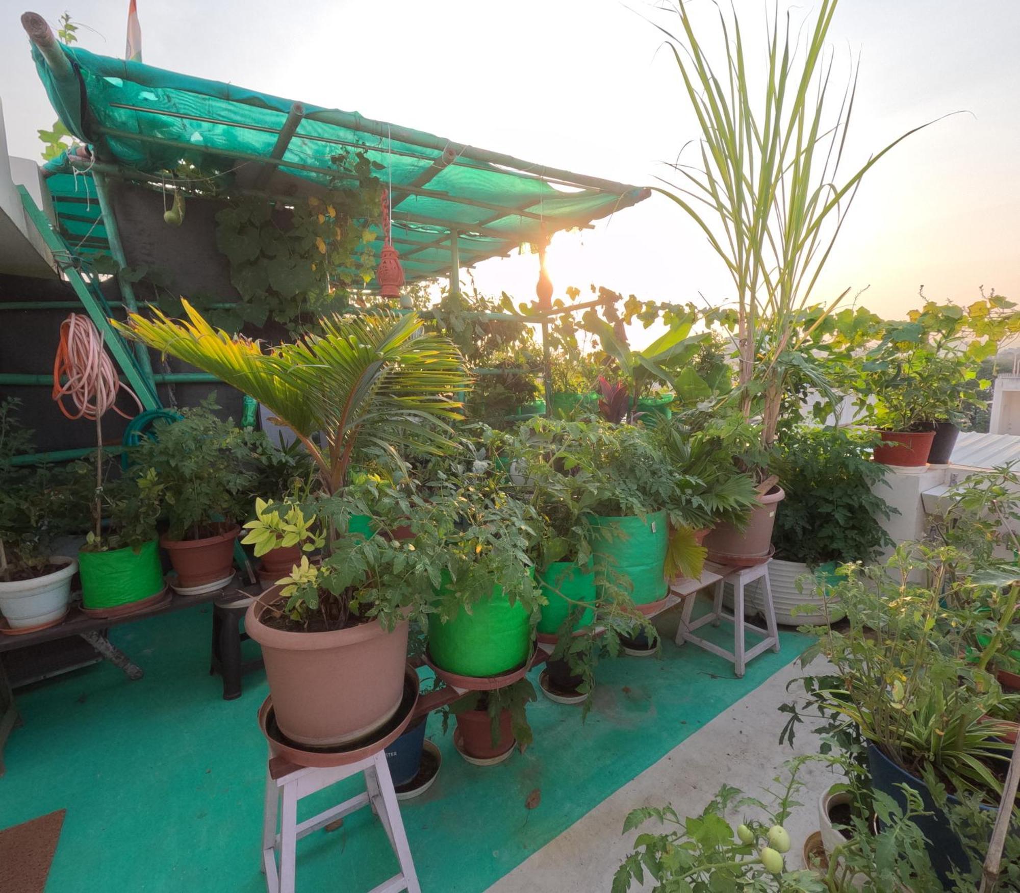 Choudhary White House Udaipur Apartment Exterior photo